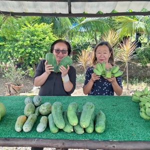 กิจกรรมการประชาสัมพันธ์ตลาดนัดท้องถิ่น ONLINE เครือข่ายของดีบ้านเรา